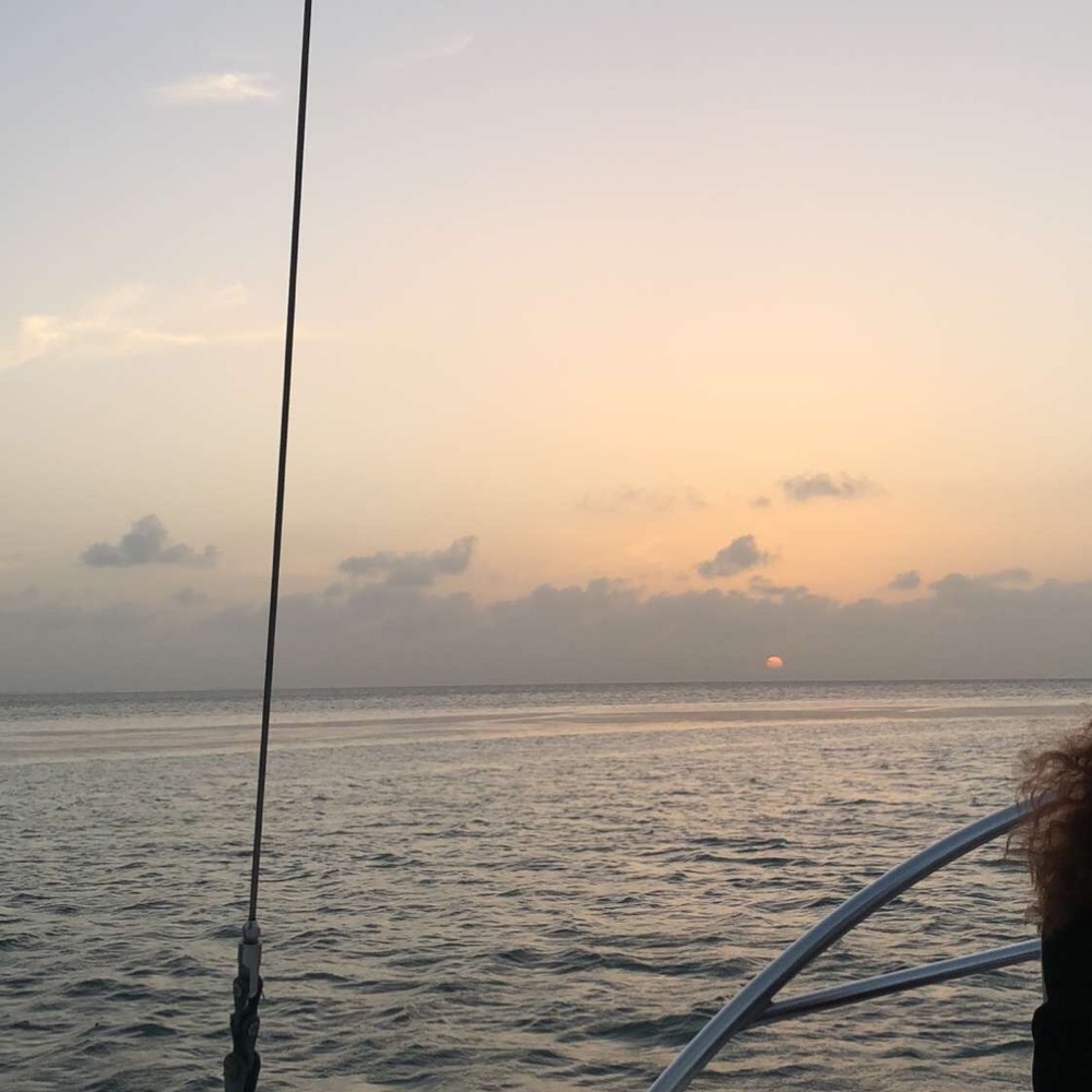 Meet your Posher, Odette